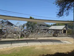 S 邸／コンタクトレンズ
