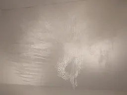 作品「いのちの詩・あまのおと」