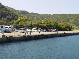 岸邊的釣客