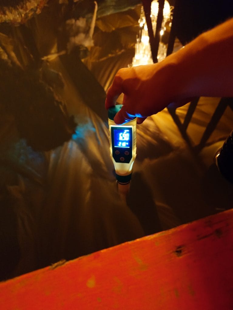 「黄金の海に消えた船」開場前的準備，量測水池的酸鹼值是否在合理範圍